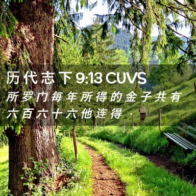 Picture 02 - 历 代 志 下 9:13 CUVS - 所 罗 门 每 年 所 得 的 金 子 共 有 - Bible Verse Picture