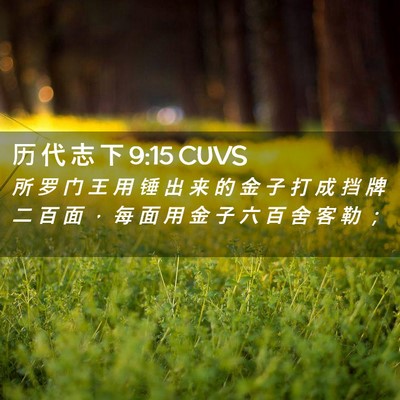 Picture 02 - 历 代 志 下 9:15 CUVS - 所 罗 门 王 用 锤 出 来 的 金 子 打 - Bible Verse Picture