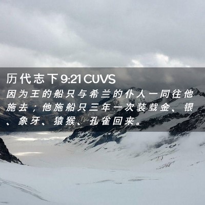 Picture 02 - 历 代 志 下 9:21 CUVS - 因 为 王 的 船 只 与 希 兰 的 仆 人 - Bible Verse Picture