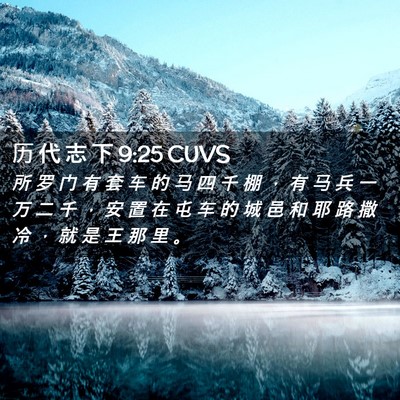 Picture 02 - 历 代 志 下 9:25 CUVS - 所 罗 门 有 套 车 的 马 四 千 棚 ， - Bible Verse Picture