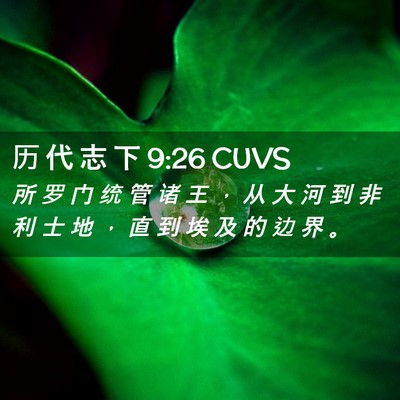 Picture 02 - 历 代 志 下 9:26 CUVS - 所 罗 门 统 管 诸 王 ， 从 大 河 到 - Bible Verse Picture