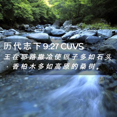 Picture 02 - 历 代 志 下 9:27 CUVS - 王 在 耶 路 撒 冷 使 银 子 多 如 石 - Bible Verse Picture