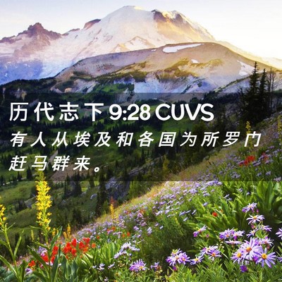 Picture 02 - 历 代 志 下 9:28 CUVS - 有 人 从 埃 及 和 各 国 为 所 罗 门 - Bible Verse Picture