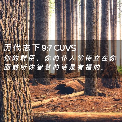 Picture 02 - 历 代 志 下 9:7 CUVS - 你 的 群 臣 、 你 的 仆 人 常 侍 立 - Bible Verse Picture