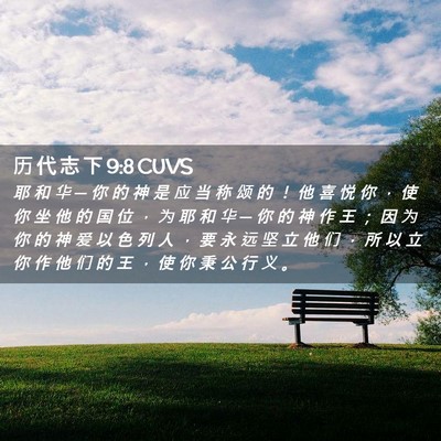 Picture 02 - 历 代 志 下 9:8 CUVS - 耶 和 华 ─ 你 的 神 是 应 当 称 颂 - Bible Verse Picture