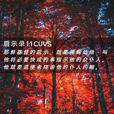 Picture 02 - 启 示 录 1:1 CUVS - 耶 稣 基 督 的 启 示 ， 就 是 神 赐 - Bible Verse Picture