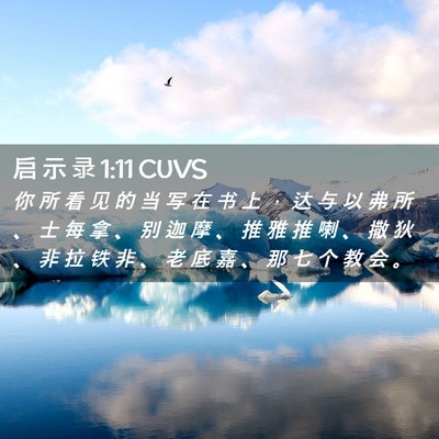 Picture 02 - 启 示 录 1:11 CUVS - 你 所 看 见 的 当 写 在 书 上 ， 达 - Bible Verse Picture