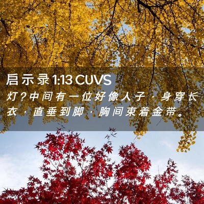 Picture 02 - 启 示 录 1:13 CUVS - 灯 ? 中 间 有 一 位 好 像 人 子 ， 身 - Bible Verse Picture