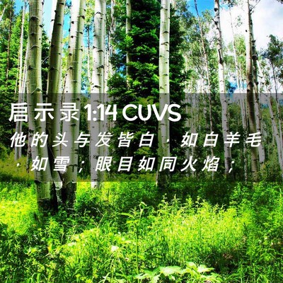 Picture 02 - 启 示 录 1:14 CUVS - 他 的 头 与 发 皆 白 ， 如 白 羊 毛 - Bible Verse Picture