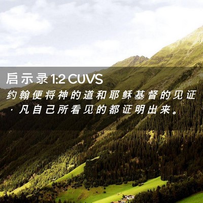 Picture 02 - 启 示 录 1:2 CUVS - 约 翰 便 将 神 的 道 和 耶 稣 基 督 - Bible Verse Picture