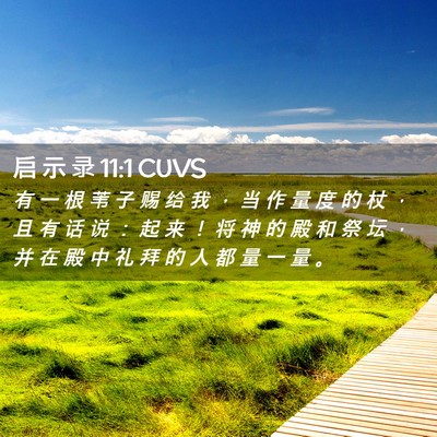 Picture 02 - 启 示 录 11:1 CUVS - 有 一 根 苇 子 赐 给 我 ， 当 作 量 - Bible Verse Picture