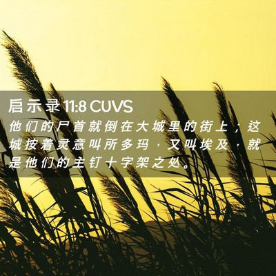 Picture 02 - 启 示 录 11:8 CUVS - 他 们 的 尸 首 就 倒 在 大 城 里 的 - Bible Verse Picture