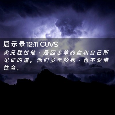Picture 02 - 启 示 录 12:11 CUVS - 弟 兄 胜 过 他 ， 是 因 羔 羊 的 血 - Bible Verse Picture