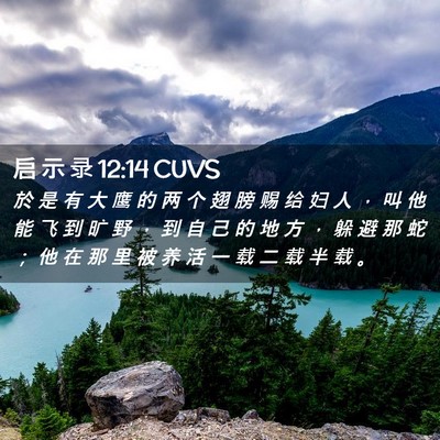 Picture 02 - 启 示 录 12:14 CUVS - 於 是 有 大 鹰 的 两 个 翅 膀 赐 给 - Bible Verse Picture