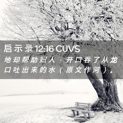 Picture 02 - 启 示 录 12:16 CUVS - 地 却 帮 助 妇 人 ， 开 口 吞 了 从 - Bible Verse Picture