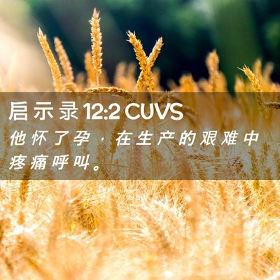 Picture 02 - 启 示 录 12:2 CUVS - 他 怀 了 孕 ， 在 生 产 的 艰 难 中 - Bible Verse Picture