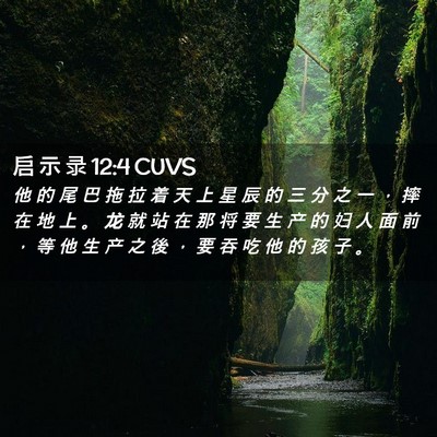 Picture 02 - 启 示 录 12:4 CUVS - 他 的 尾 巴 拖 拉 着 天 上 星 辰 的 - Bible Verse Picture