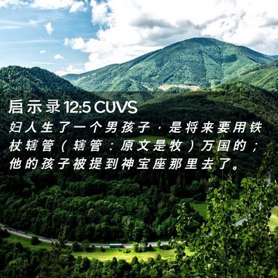 Picture 02 - 启 示 录 12:5 CUVS - 妇 人 生 了 一 个 男 孩 子 ， 是 将 - Bible Verse Picture