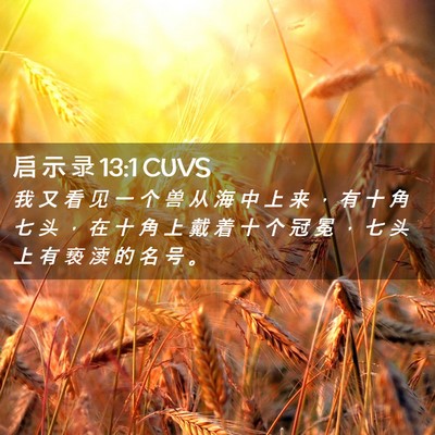 Picture 02 - 启 示 录 13:1 CUVS - 我 又 看 见 一 个 兽 从 海 中 上 来 - Bible Verse Picture