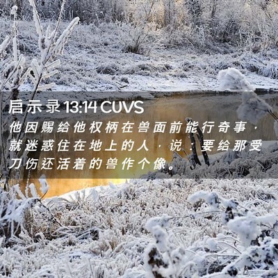 Picture 02 - 启 示 录 13:14 CUVS - 他 因 赐 给 他 权 柄 在 兽 面 前 能 - Bible Verse Picture