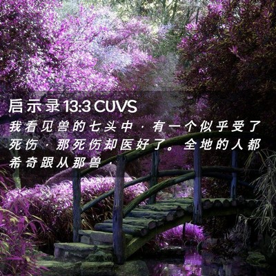 Picture 02 - 启 示 录 13:3 CUVS - 我 看 见 兽 的 七 头 中 ， 有 一 个 - Bible Verse Picture