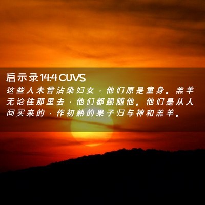 Picture 02 - 启 示 录 14:4 CUVS - 这 些 人 未 曾 沾 染 妇 女 ， 他 们 - Bible Verse Picture