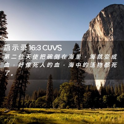 Picture 02 - 启 示 录 16:3 CUVS - 第 二 位 天 使 把 碗 倒 在 海 里 ， - Bible Verse Picture
