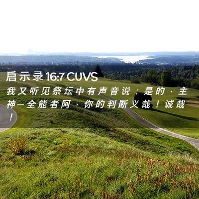 Picture 02 - 启 示 录 16:7 CUVS - 我 又 听 见 祭 坛 中 有 声 音 说 ： - Bible Verse Picture