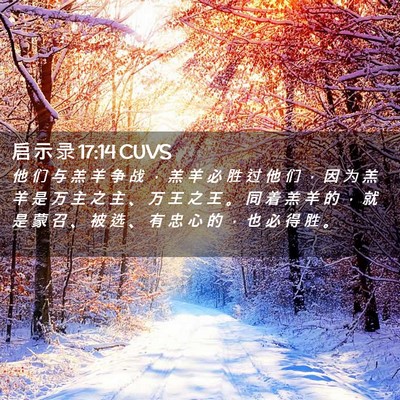 Picture 02 - 启 示 录 17:14 CUVS - 他 们 与 羔 羊 争 战 ， 羔 羊 必 胜 - Bible Verse Picture