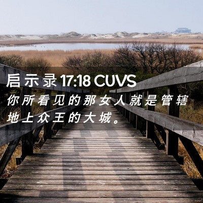 Picture 02 - 启 示 录 17:18 CUVS - 你 所 看 见 的 那 女 人 就 是 管 辖 - Bible Verse Picture