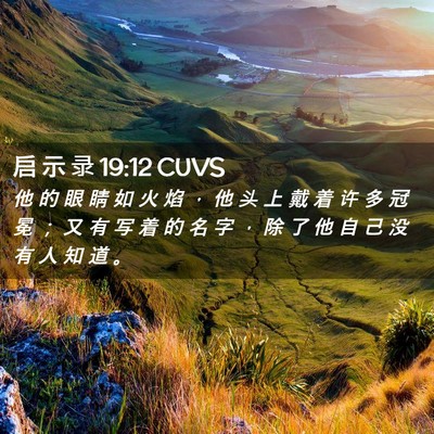 Picture 02 - 启 示 录 19:12 CUVS - 他 的 眼 睛 如 火 焰 ， 他 头 上 戴 - Bible Verse Picture
