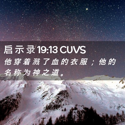 Picture 02 - 启 示 录 19:13 CUVS - 他 穿 着 溅 了 血 的 衣 服 ； 他 的 - Bible Verse Picture