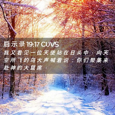Picture 02 - 启 示 录 19:17 CUVS - 我 又 看 见 一 位 天 使 站 在 日 头 - Bible Verse Picture