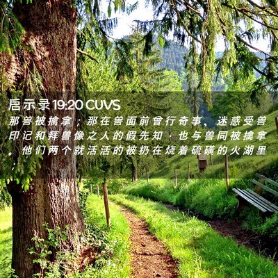Picture 02 - 启 示 录 19:20 CUVS - 那 兽 被 擒 拿 ； 那 在 兽 面 前 曾 - Bible Verse Picture