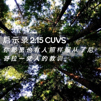 Picture 02 - 启 示 录 2:15 CUVS - 你 那 里 也 有 人 照 样 服 从 了 尼 - Bible Verse Picture