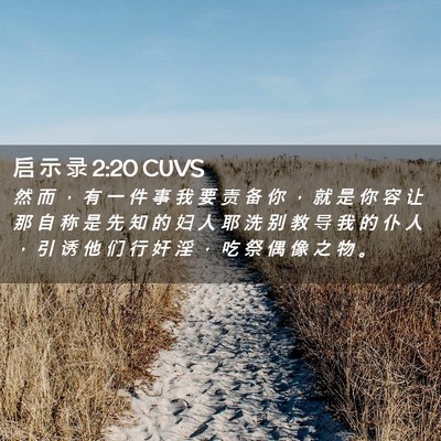 Picture 02 - 启 示 录 2:20 CUVS - 然 而 ， 有 一 件 事 我 要 责 备 你 - Bible Verse Picture