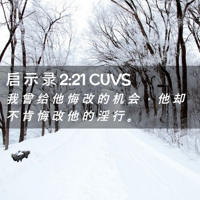Picture 02 - 启 示 录 2:21 CUVS - 我 曾 给 他 悔 改 的 机 会 ， 他 却 - Bible Verse Picture