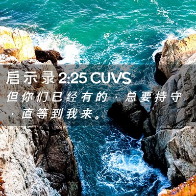 Picture 02 - 启 示 录 2:25 CUVS - 但 你 们 已 经 有 的 ， 总 要 持 守 - Bible Verse Picture