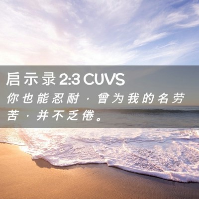 Picture 02 - 启 示 录 2:3 CUVS - 你 也 能 忍 耐 ， 曾 为 我 的 名 劳 - Bible Verse Picture