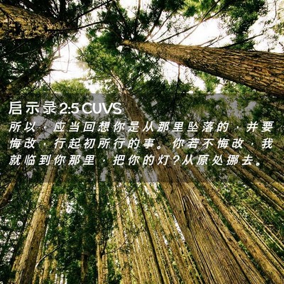 Picture 02 - 启 示 录 2:5 CUVS - 所 以 ， 应 当 回 想 你 是 从 那 里 - Bible Verse Picture