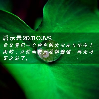 Picture 02 - 启 示 录 20:11 CUVS - 我 又 看 见 一 个 白 色 的 大 宝 座 - Bible Verse Picture