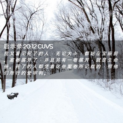 Picture 02 - 启 示 录 20:12 CUVS - 我 又 看 见 死 了 的 人 ， 无 论 大 - Bible Verse Picture
