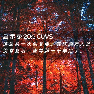 Picture 02 - 启 示 录 20:5 CUVS - 这 是 头 一 次 的 复 活 。 其 馀 的 - Bible Verse Picture