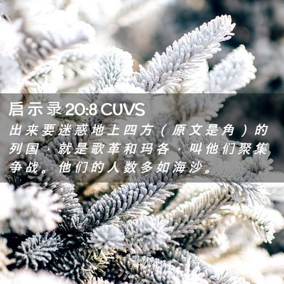 Picture 02 - 启 示 录 20:8 CUVS - 出 来 要 迷 惑 地 上 四 方 （ 原 文 - Bible Verse Picture
