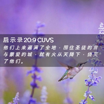 Picture 02 - 启 示 录 20:9 CUVS - 他 们 上 来 遍 满 了 全 地 ， 围 住 - Bible Verse Picture