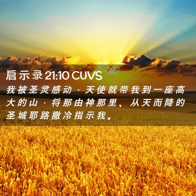 Picture 02 - 启 示 录 21:10 CUVS - 我 被 圣 灵 感 动 ， 天 使 就 带 我 - Bible Verse Picture