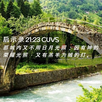 Picture 02 - 启 示 录 21:23 CUVS - 那 城 内 又 不 用 日 月 光 照 ； 因 - Bible Verse Picture