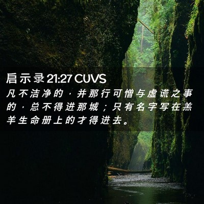 Picture 02 - 启 示 录 21:27 CUVS - 凡 不 洁 净 的 ， 并 那 行 可 憎 与 - Bible Verse Picture