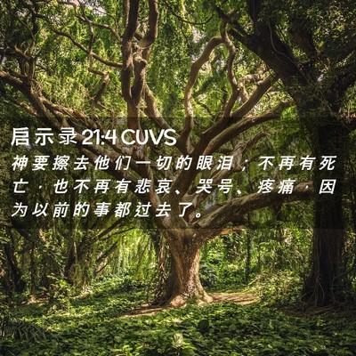 Picture 02 - 启 示 录 21:4 CUVS - 神 要 擦 去 他 们 一 切 的 眼 泪 ； - Bible Verse Picture