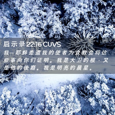 Picture 02 - 启 示 录 22:16 CUVS - 我 ─ 耶 稣 差 遣 我 的 使 者 为 众 - Bible Verse Picture